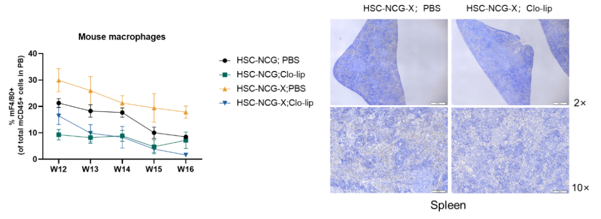 12.png
