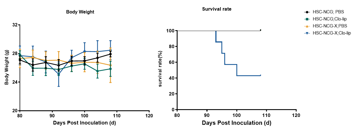 14.png
