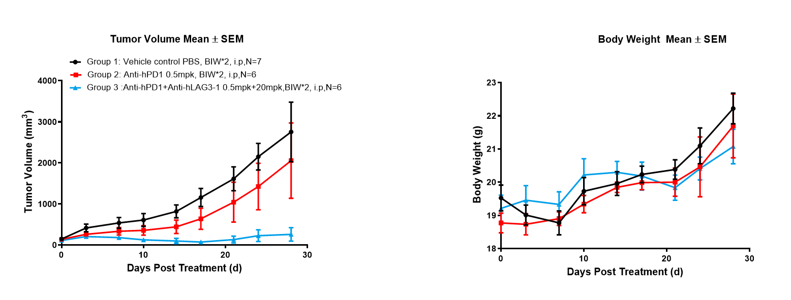 image8.png