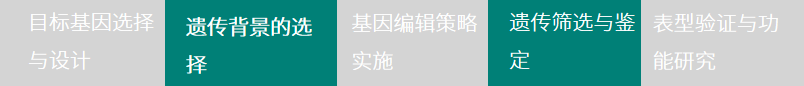 ͼƬ1.png